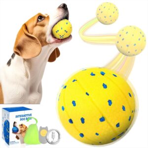 Juguete Interactivo Eléctrico para Perros con 3 Modos